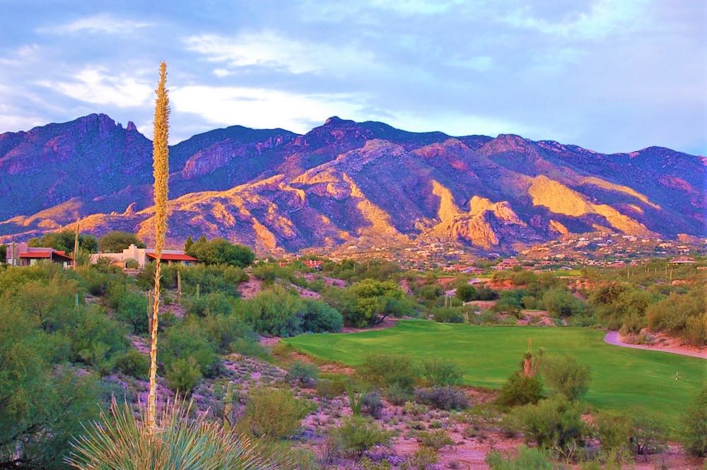 La Paloma Country Club | Luxury Homes For Sale in Arizona | GolfShire Homes